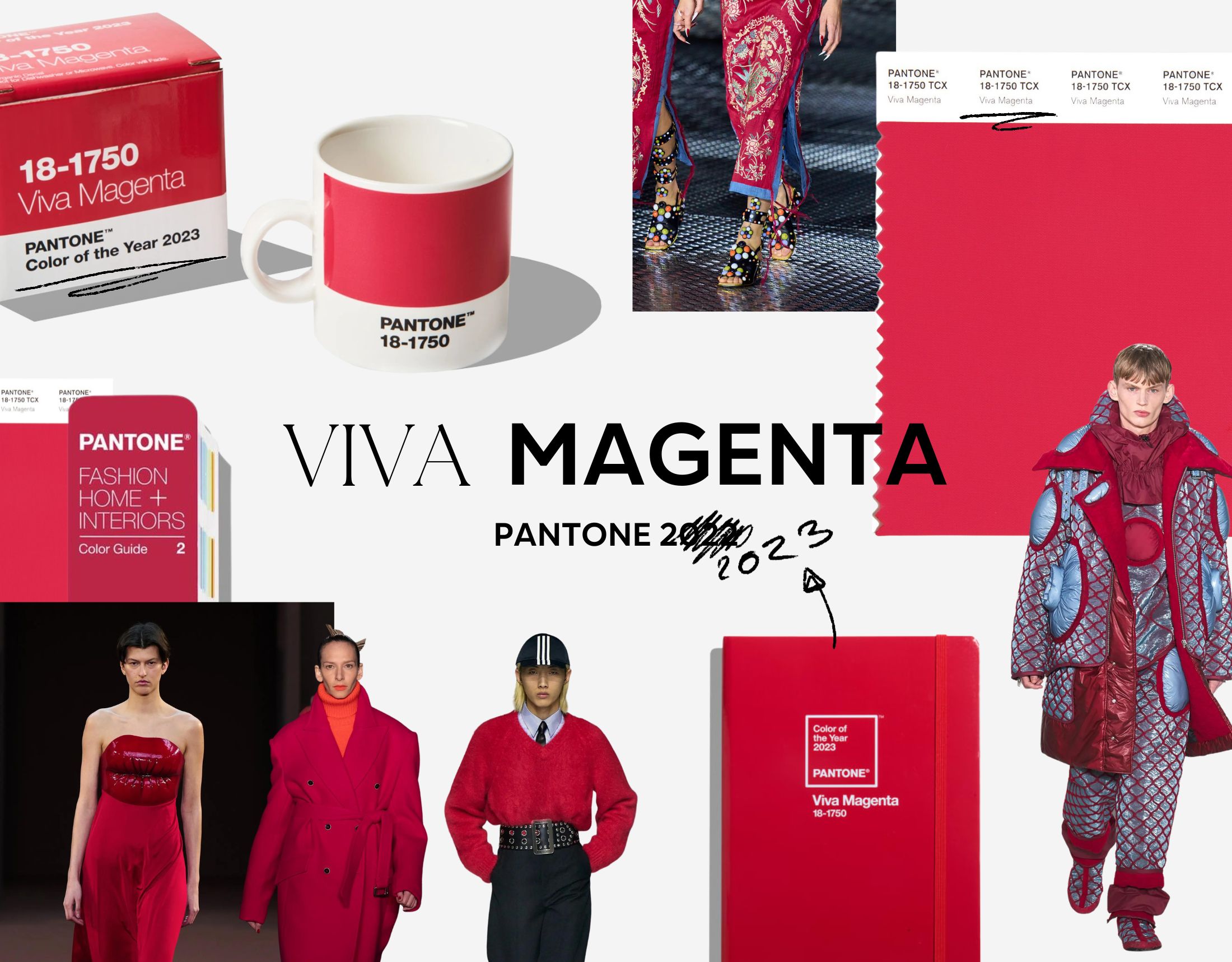 Viva Magenta kolorem roku 2023 według Pantone