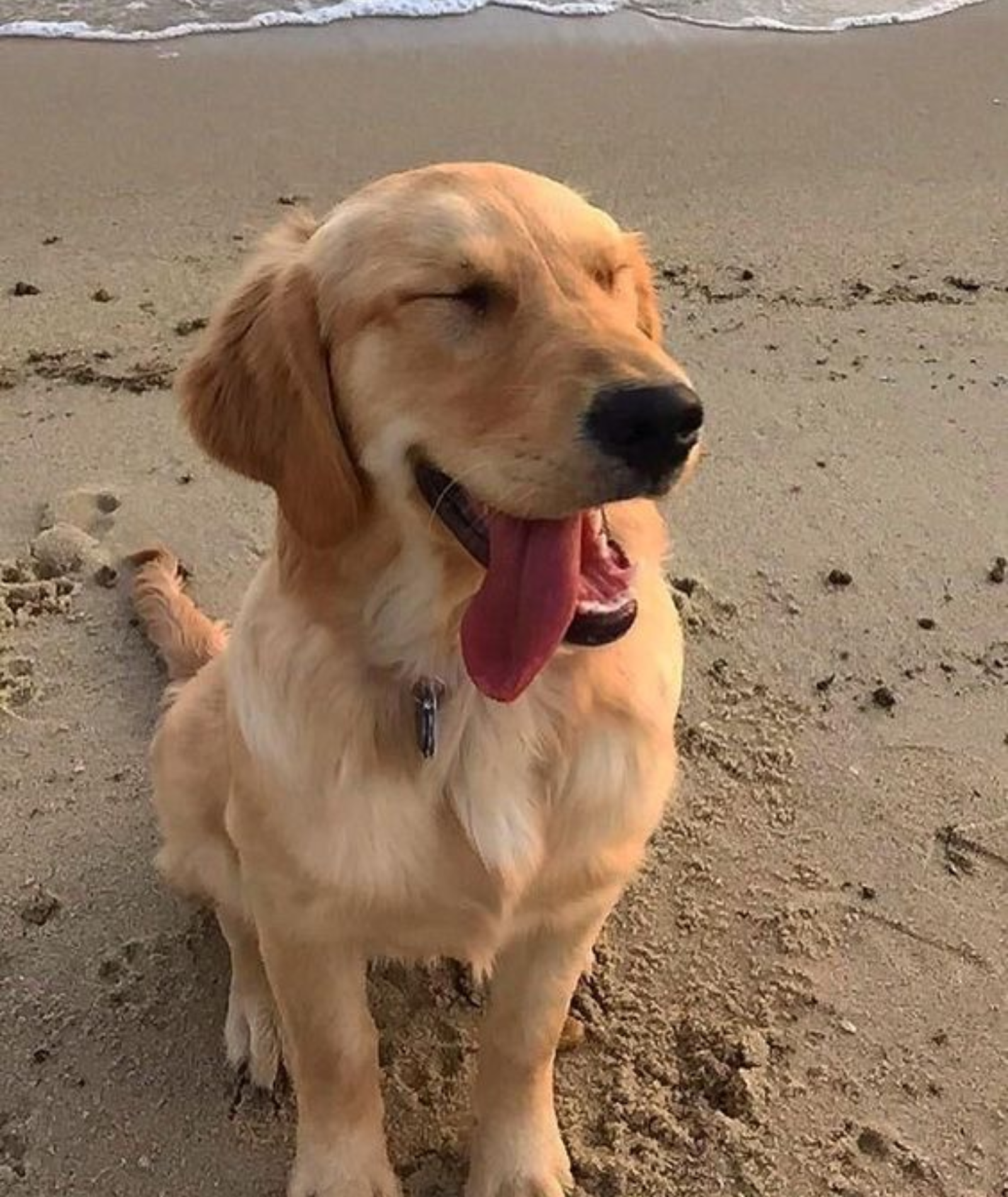 Golden retriever vs. granola boy - jakim typem faceta jest Twój chłopak?