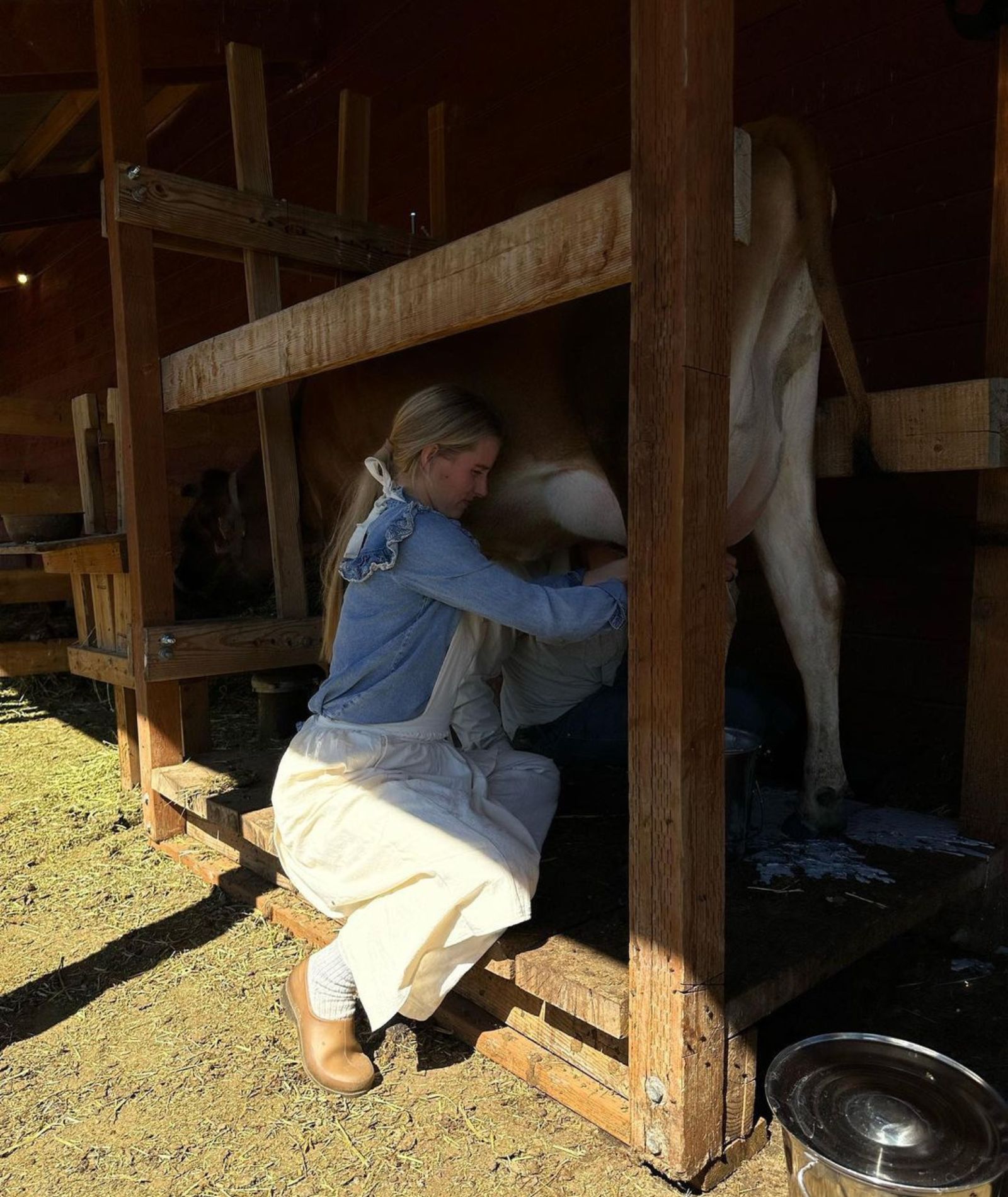 Trad wife, czyli oduczmy kobiety niezależności